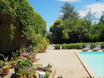 The Garden