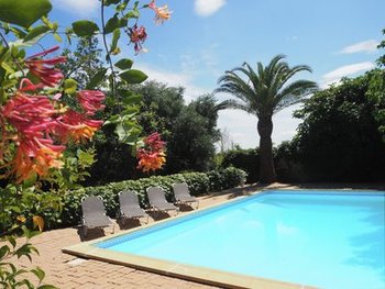 The Pool + Garden